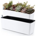 Skelang 2-Pack Self Watering Planter, Rectangle Flower Pot with Water Level Indicator, Window Gardening Box for Indoor Plant, Succulent, Herb, Vegetable