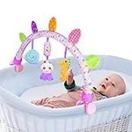 Caterbee Travel Arch Bassinet Toys 