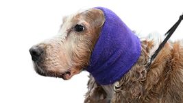 Happy Hoodie, Headband for Pet, Soft, Expandable, Fabric Band. Relieves Anxiety and Calms Dogs During Stressful Situations, Ideal for Small to Medium Breeds and Cats, Purple - Small Size