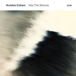 Into the Silence [2 LP]