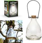 1x WASP TRAP Large Catcher Glass Bo