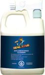 Seal King Efflorescence Cleaner for