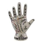 Oak Tree Temerity Jones Porcelain Crackle Phrenology Palmistry Hand Map of the Hand