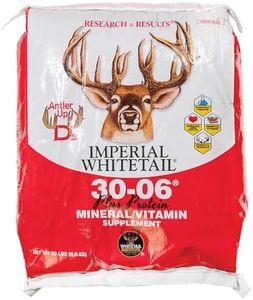 Whitetail 