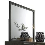 ACME Furniture 26264 Carine II Mirror, Charcoal