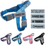 Paworld Dog Harness, Anti Pull Dog Harness Small, Service Dog Vest with 4 PCS Reflective Patches, 2 Buckles with Safety Lock, Adjustable No-Choke Harness, for Outdoor Training Walking (Blue, XS)