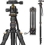 Tripod for Camera, Professional DSLR Camera Tripod, Expandable to 210 cm Monopod, with 360° Swivel Head, Carry Bag, Tripod Can Carry 8 kg (Gold)