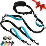 SparklyPets Hands Free Dual Dog Lea