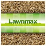 Lawnmax – Grass Seeds Fast Growing, Rapid Growth Economy Mix for Hard Wearing, Shady Grass, New Lawns and Patch Repair (500g)