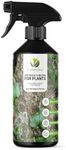EcoWidow Natural Mould & Mildew Fungicide Remover Spray for Plants Fungus Cleaner - Indoor Or Outdoor Plant Protection 500ml