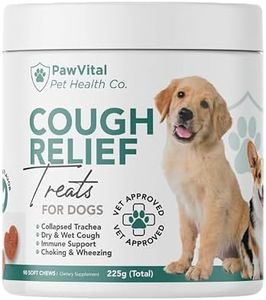 Dog Cough 