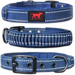 Heavy Duty Dog Collar with Handle |