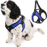 Gooby Escape Free Easy Fit Harness - Blue, Medium - No Pull Step-in Patented Small Dog Harness with Quick Release Buckle - Perfect On The Go No Pull Harness for Small Dogs or Medium Dog Harness