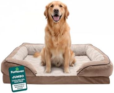 FurHaven C