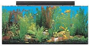 SeaClear 30 gal Show Acrylic Aquari