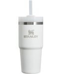 Stanley Quencher H2.0 FlowState Stainless Steel Vacuum Insulated Tumbler with Lid and Straw for Water, Iced Tea or Coffee, Smoothie and More, Frost, 14 oz / 0.40 L