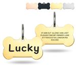 Dog Tags for Pets Engraved UK Personalised Dog Tags High End Stainless Steel Custom Deep Laser Engraved Scratch Resistant Dog ID Tag with Any Name for Puppy Cat Dog(Bone Gold L)