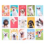 American Greetings Blank Cards and Envelopes Assortment Box, Funny Dogs, 15 count