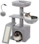 PAWZ Road Cat Tree for Indoor Cats,