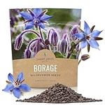 Borage Seeds – Extra Large Packet –
