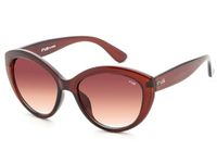 IRUS Women Cat Eye sunglasses | 100% UV protection | Small Size | Brown Gradient Polycarbonate lens