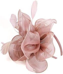 Fascinator Hat Feather Mesh Net Veil Party Hat Ascot Hats Flower Derby Hat with Clip and Hairband for Women, G1-PINK, One size