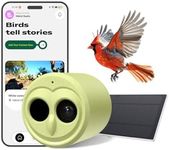 Hibird 4K HD Smart Bird Feeder Came