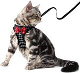 Pets First Cat Harnesses