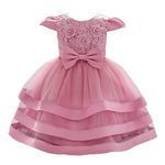 Lito Angels Baby Girls Flower Girl Bridesmaid Dress Wedding Party Embroidered Floral Elegant Ball Gown Age 6-12 Months Dusty Rose 424 (Tag Number 70)