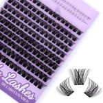 WENDY Lashes Clusters Multi-Type DIY Eyelash Extension - Lash Clusters D Curl C9 & Bottom Lashes, Black Cluster Eyelash Extensions Wispy Soft Individual Lashes Suitable for Beginners, 10-16 MM