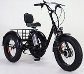 Trike Bike For Adults With Motor