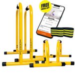 Lebert Fitness EQualizer Dip Bars - THE ORIGINAL in Total Body Strengthening, Home Gym Exercise, Pull Up Bar & Dip Station - Incl: Hip Resistance Band, Workout Guide and Online Group (EQ/PARA COMBO)