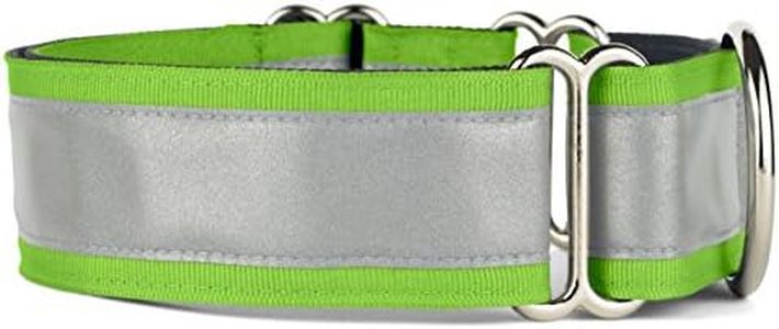 If It Barks - 1.5" Reflective Martingale Collar for Dogs - Adjustable - Made in USA - Strong, Durable, and Comfy - Ideal for Training - Suitable for Most Breeds - Medium, Apple Green