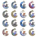 DanLingJewelry 27Pcs 9 Styles Colorful Crescent Moon Owl Charms Enamel Half Moon Charms Animal Owl Dangle Charms for Jewelry Necklace Making