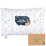 KeaBabies Toddler Pillow with Pillo