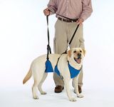 Guardian Dog Harness For Cars