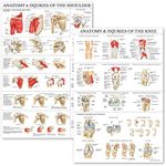 Palace Learning 2 Pack - Anatomy an