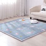 Coral Velvet Area Rugs Play Mat, 2c