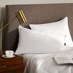 Serta Pillow Downs