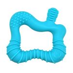 green sprouts Molar Teether, Aqua