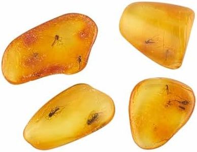 ELEGAMBER Baltic Amber Natural Fossil Insects,Insects from Millions of Years ago-Four Sets,True Insect Samples-Science Classroom Science Education Animal Specimens (Two or More Insects Amber Fossils)