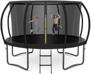 Zevemomo 12 FT Trampoline for Kids, 12ft Heavy Duty Trampoline with Safety Enclosure Net & Ladder, Outdoor Recreational Trampoline for Kids and Adults, Galvanized Anti-Rust Coating Backyard Trampoline