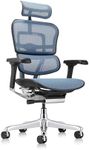 Ergohuman Eurotech GEN2 High Back, Mesh Executive Office Chair with Adjustable Lumbar Support – Ergonomic Tilt Control, Seat Slider, Armrests and Headrest Adjustment, Blue