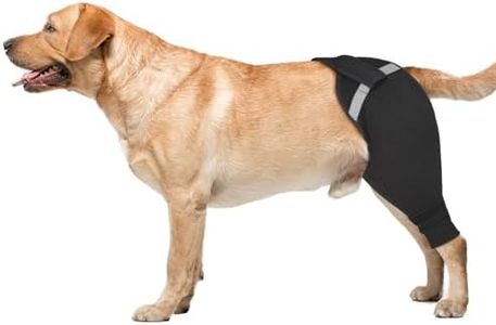Dog Rear L
