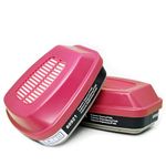 RANKSING 60921 Respirator Organic Vapor Filter Cartridge Compatible with Half and Full Face Mask 6000 Series 7000 Series for Formaldehyde/Multi Gases/Particulates and More, 1 Pair