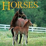 Horses: An