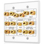 TNP Subwoofer and Speaker Wall Plate - 7.2 Surround Sound, Wall Speaker Connection Audio Wall Plate for AV RCA Connectors and Home Theater Banana Plugs