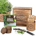 Indoor Herb Garden Starter Kit - He