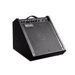 Coolmusic 100W Bluetooth Personal Monitor Amplifier Electric Drum Amplifier Bass Amplifier Keyboard and Acoustic Guitar Speaker