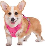 BARKBAY No Pull Dog Harness Large S